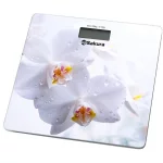 Sakura-SA-5065WF белые орхидеи