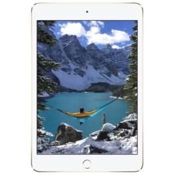 Apple iPad mini 4 16Gb Wi-Fi