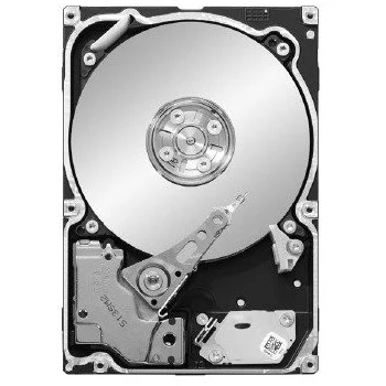 Seagate ST91000640SS