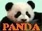 panda.shop.by