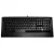 SteelSeries Apex Raw gaming keyboard Black USB